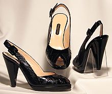   Sandro Vicari 5312 ( /). : 267 € / 11861 . / 283 $ / 0 .