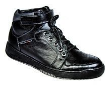   Euro Style*  - 42741 (). : 104 € / 4596 . / 110 $ / 0 .