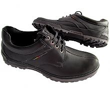   Euro Style* -53511 (/). : 69 € / 3053 . / 73 $ / 0 .