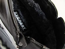 Everest* () 02271