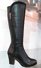 Fabelina* 293-