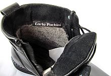 Carlo Pachini* 4803