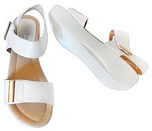 Sopra* 88-24-1 BEL